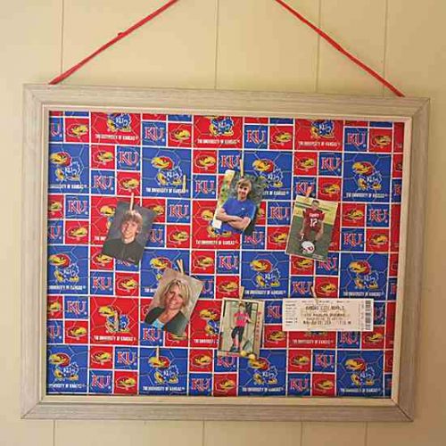 Chicken Wire Photo Board